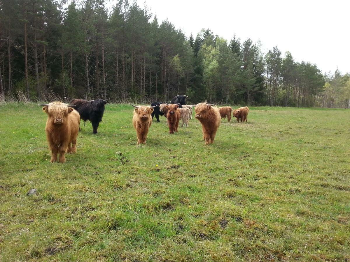 Ranna Villa Farm Kudema Екстер'єр фото