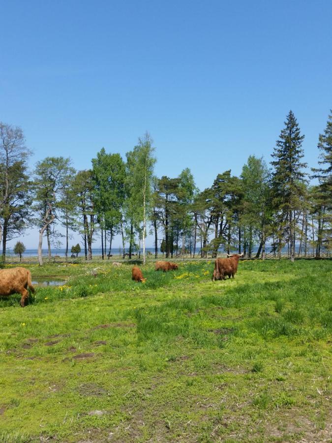 Ranna Villa Farm Kudema Екстер'єр фото